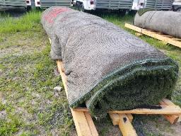 1 Rouleau tapis gazon, environ 15' long