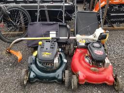 2 tondeuses à essence + STHIL coupe bordure