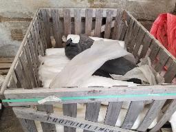 Lot de toiles transparentes