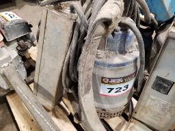 Pompe a eau 3 pouces FLYGHT 220V