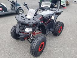 2024 MATRIX TITAN 125 VTT