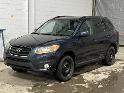2010, HYUNDAI SANTA FE, VUS