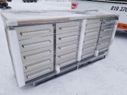 Armoire de rangement avec &eacute;tabli, 20 tiroirs Stainless