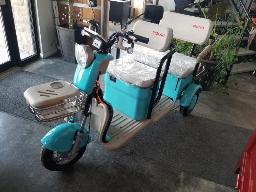 2026 SDLANCH IRGC40 Mini cart de golf 3 roues &eacute;lectrique neuf turquoise, 2 places
