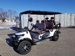 2026 SDLANCH SDLGC100 Cart de golf