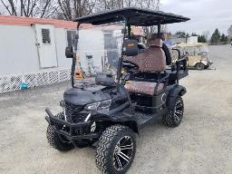 Voiturette de golf 4 places