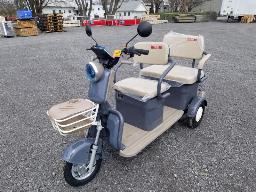 SDLANCH IRGC40 Cart de golf 3 roues &eacute;lectrique violet,2 places , neuf