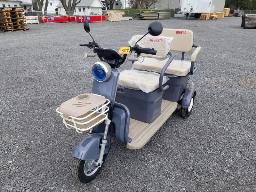 2026 SDLANCH Cart de golf &eacute;lectrique violet, 2 places, neuf