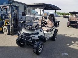 SDLOOL-Cart de golf 4 places Blanc