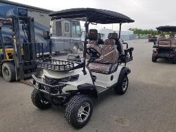 SDLOOL-Cart de golf 4 places Blanc