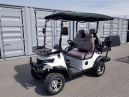 Cart de golf 2 places Blanc neuf
