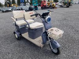 SDLANCH IRGC40 Cart de golf 3 roues &eacute;lectrique gris, 2 places