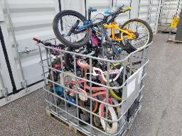 12 v&eacute;los vari&eacute;s