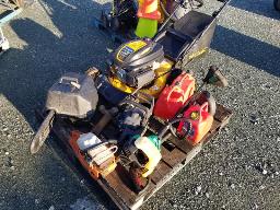 Tondeuse cub cadet + lot de scie &agrave; cha&icirc;ne