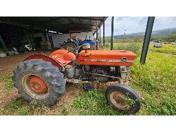 Massey Ferguson 135 Tractor (NO PAPERS)