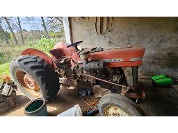Massey Ferguson 135 Tractor (NO PAPERS)