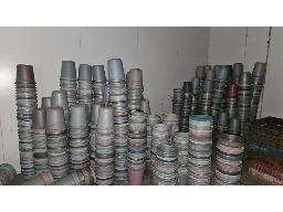 Assorted Plastic Crates and Buckets