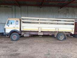 Mercedes Benz 19.24 Cattle Truck (Runner)