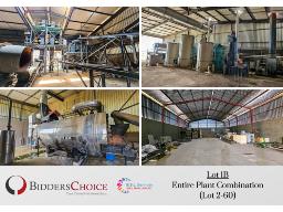 Entire Plant: Combination (Lot 2-60)