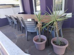 2x Tables, 5x patio chairs & 2x pot plants