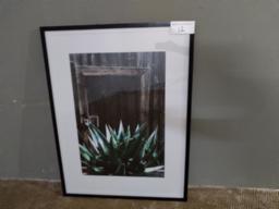 Aloe artwork