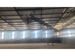 20m Conveyor (STC)