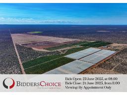 Online Auction: ± 737Ha Citrus, Seasonal & Grazing Farm, Vivo Limpopo