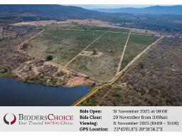 Online Auction: 3x Mango Farms - Tzaneen 