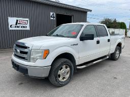 Ford F150 5.0L 2013 VIN: 1FTFW1EF7DFA48450
