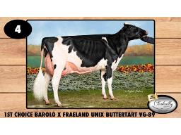 4-1st Choice Barolo x Fraeland Unix Buttertart VG-89