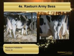 Raeburn Army Bess EX-4a