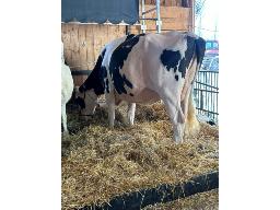 5- GLEANN DOC LUBA __