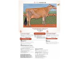 Lot-J2 Top Gene Dubelmont Kelsey 