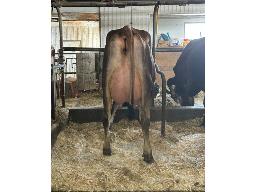 Lot-J6 St-Lo Lightning Belmiel1