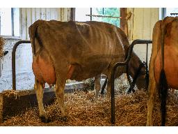 48-Bri-Lin Colton Saga EX-92-3E