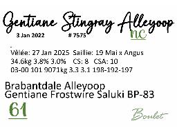 61-GENTIANE STINGRAY ALLEYOOP -7575