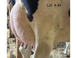 44-GENTIANE ARAGONS APTITUDE BP-82 7508