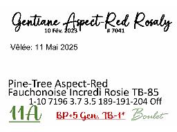 11A-GENTIANE ASPECT-RED ROSALY NC 7041