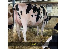 38-Lonelymaple Army Beth NC -945