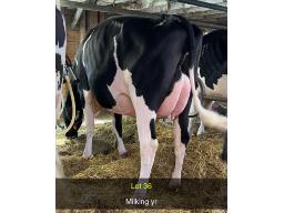 36-Val D Espoir Ashby Touriste GP-82-0451