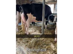 19-Tween Bays Judgy Annia - EX-90-2254