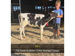 1-Olortine Avenger Desire -666