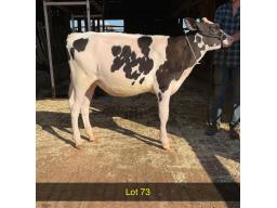 73-Loa-De-Mede Master Final Bell-537