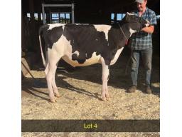 4-Eastside DH Destinys Disguise-1437