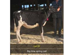 31-Benrise Master Vodkow -894