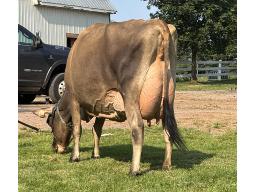 83-JP: Jamie Xavia EX-93-2E-5628