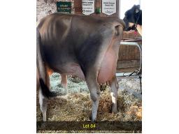 84-Maker Manilow Gingerale VG-85-2yr -402