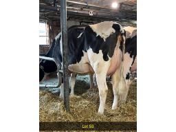 53-Tween Bays Adorable-2478