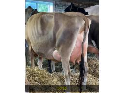 85-Weeksdale Victorious Delusion-564