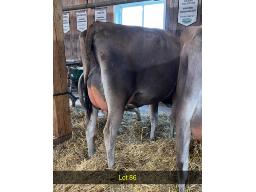 86-Weeksdale Rock or Bust -542